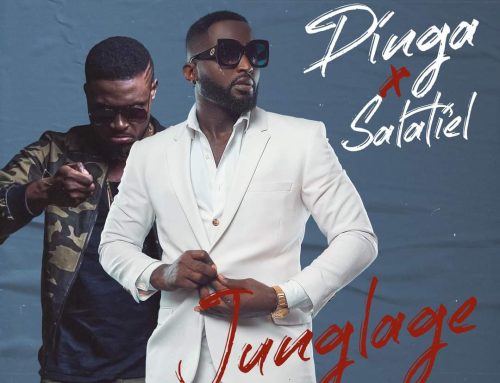 Video + Download: Dinga Ft Salatiel – Junglage (Prod by Master Roboster)