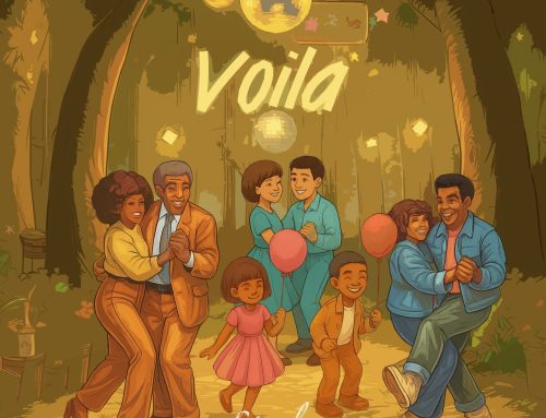 Audio + Download: Stanley Enow – Voila | 237Showbiz