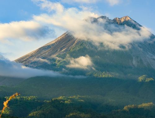 The Countdown Ends: Mount Cameroon Race of Hope Starts Tomorrow!